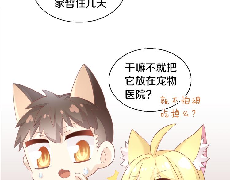 第143话 腮红鹦鹉63