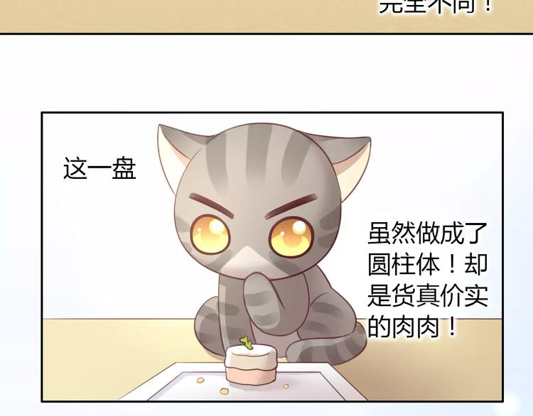 第24话 猫咪专家48