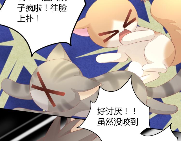 第105话 蚊子战争40