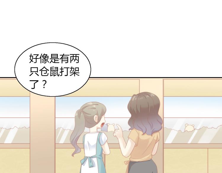 第110话 有情鼠终成眷属72