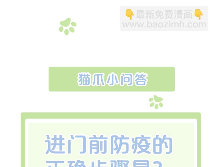 第147话 走花路吧！皮卡！88