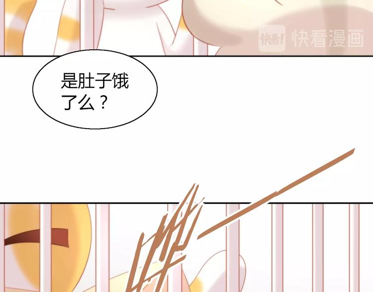 第108话 仓鼠也有梦想！41