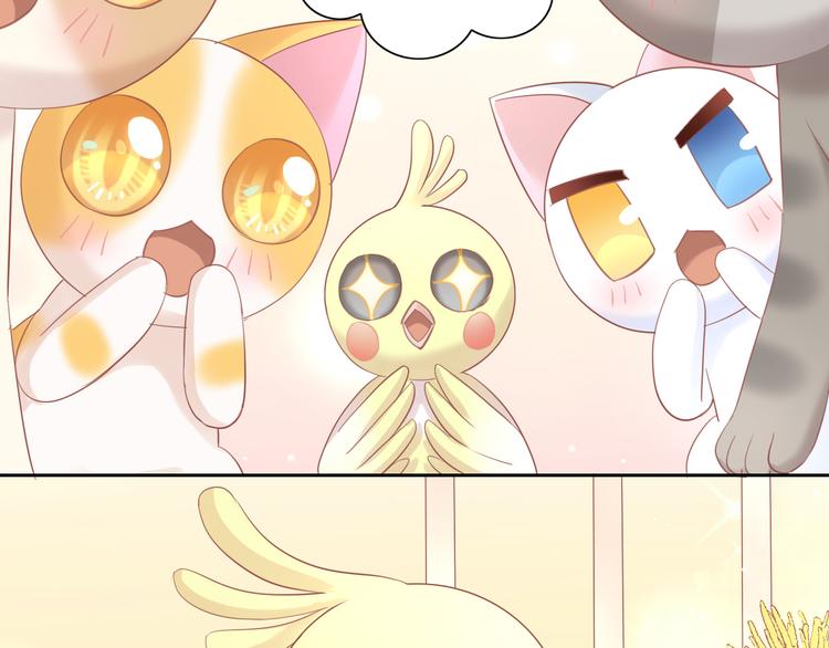 第147话 走花路吧！皮卡！65