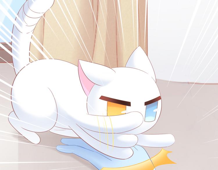 第200话 猫爪之下36