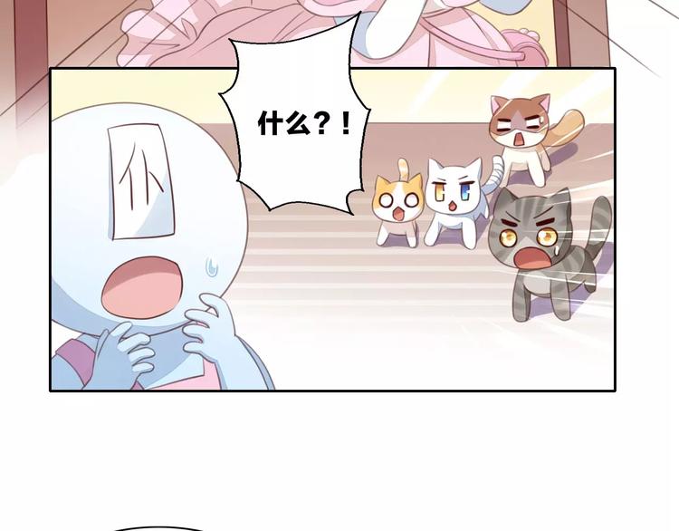 第14话  萌宠失踪22