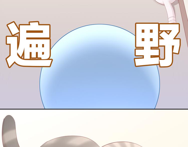 第154话 夏日大作战20