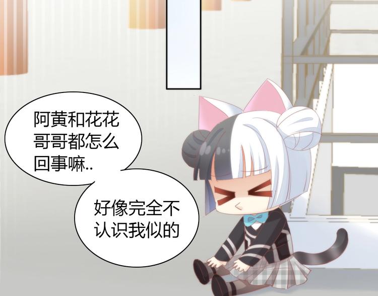第119话 猫爪学园（二）83