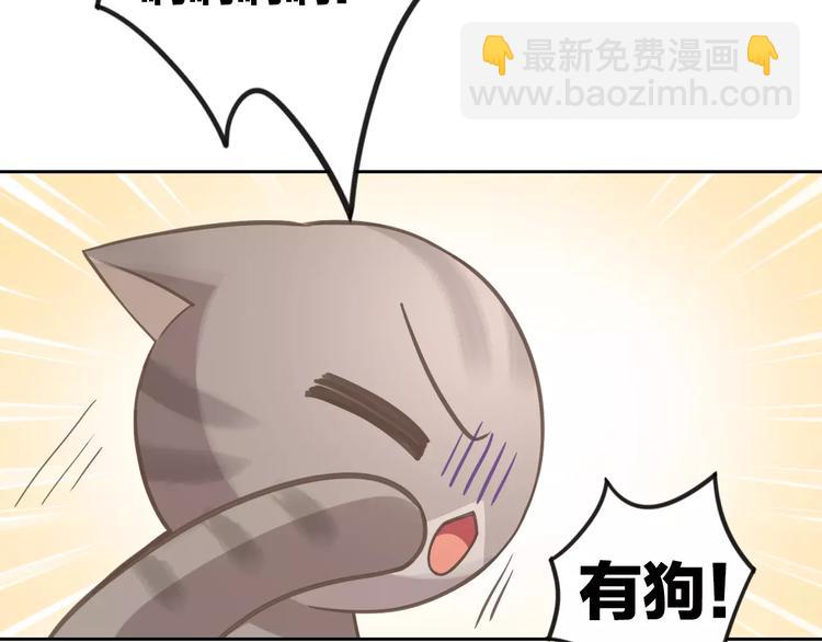 第25话 反差萌10