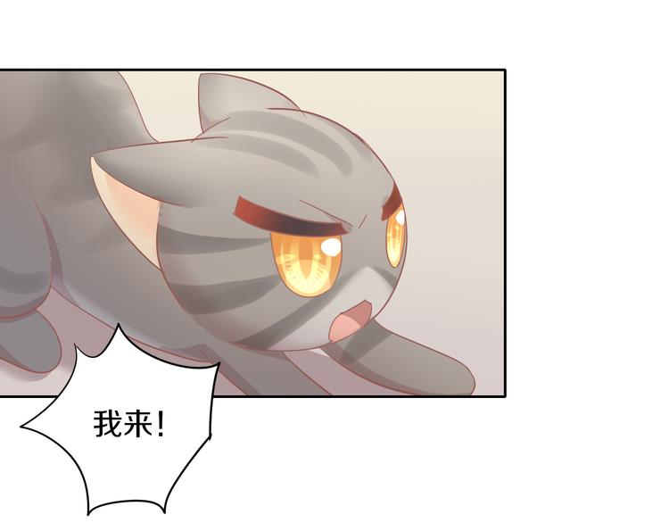 第167话 疯狂的蛋糕21