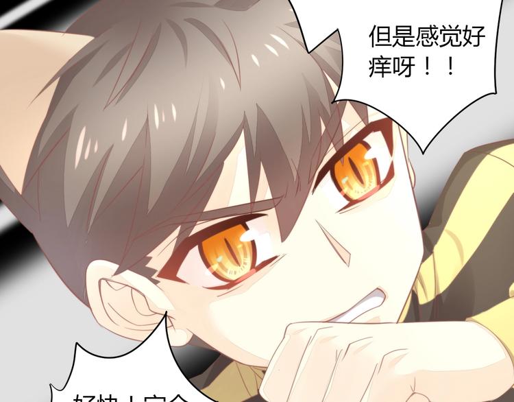 第105话 蚊子战争41
