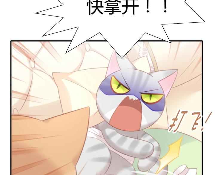 第127话 猫舍C位（三）67