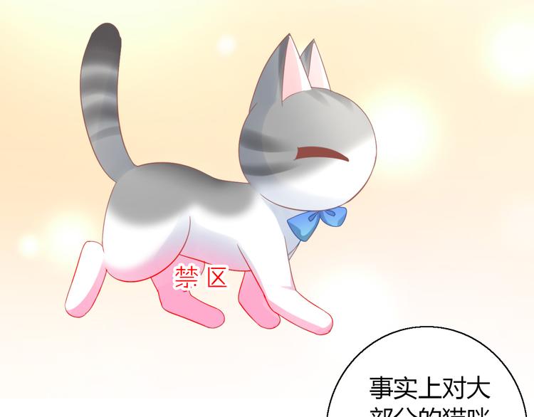 第134话  撸猫技师（二）58