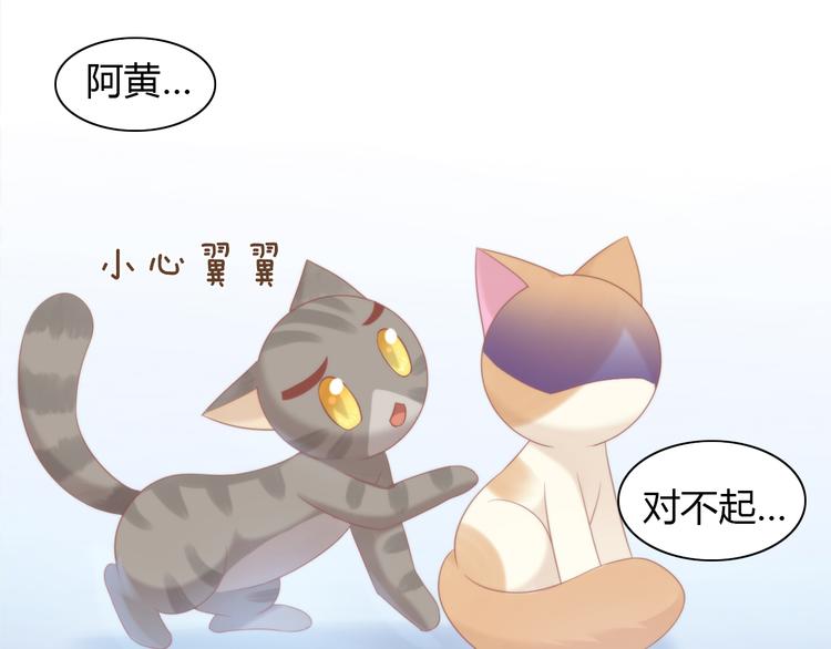 第79话 一只猫的战争12