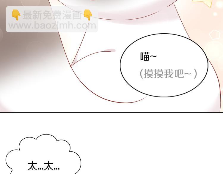 第178话 爆火视频73