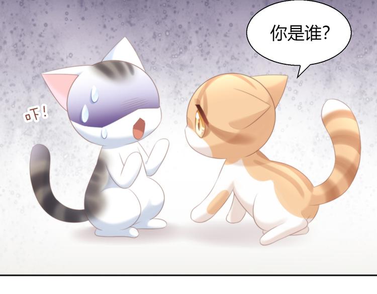第85话 新伙伴？！35
