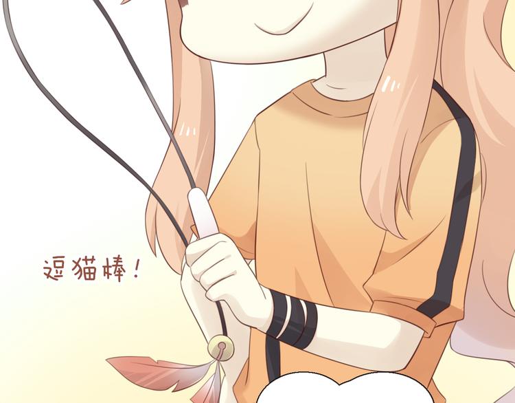 第51话 人猫大互换？71