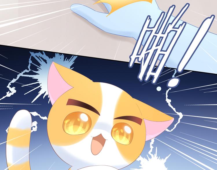 第200话 猫爪之下37