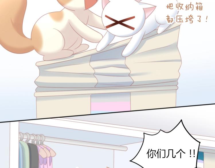 第113话 断舍离72