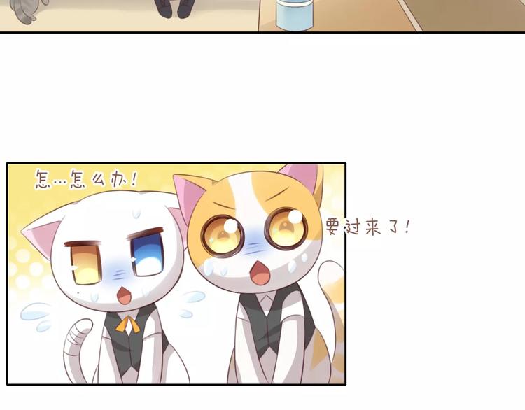 第35话 猫执事（下）10