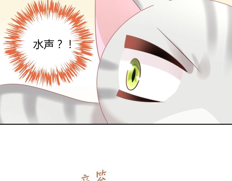 第125话 猫舍C位（一）69