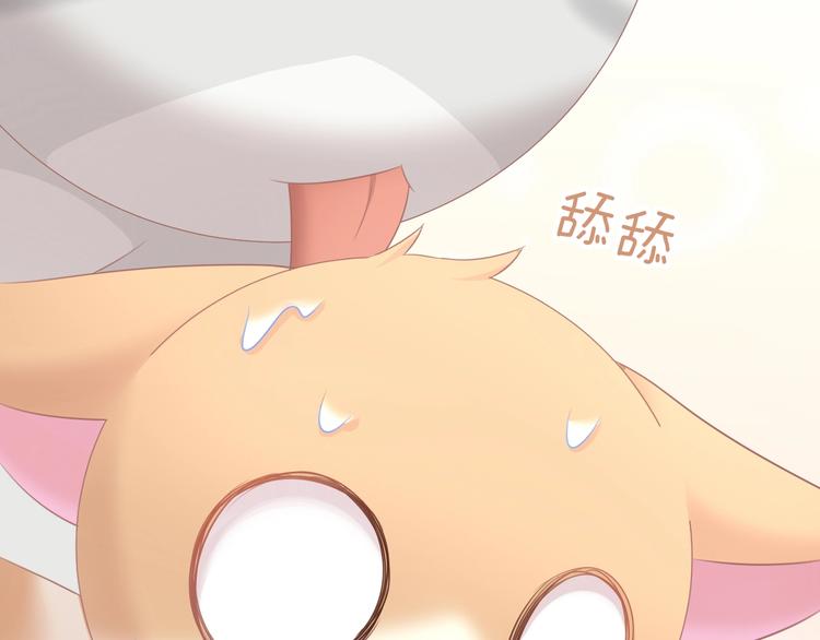 第128话 猫舍C位（四）78