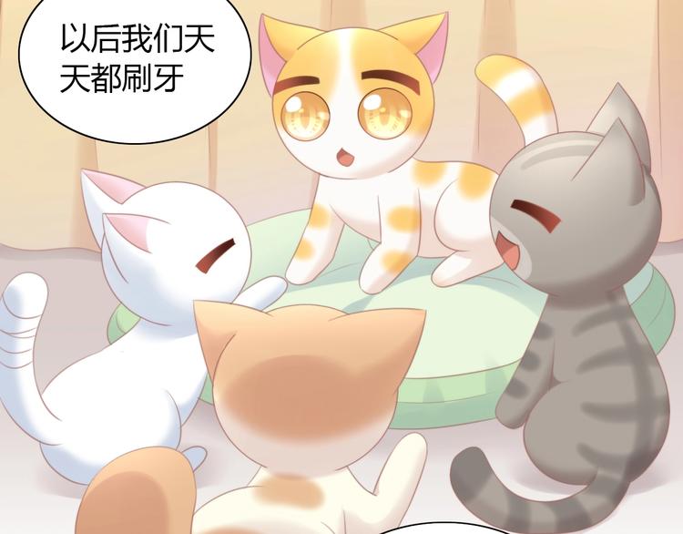 第114话 猫咪也要刷牙！84
