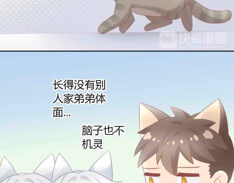 第79话 一只猫的战争44