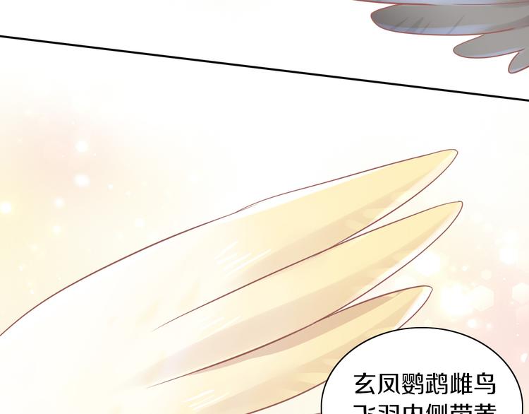第170话 皮卡和小智32