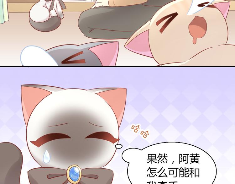 第136话 撸猫技师（四）77