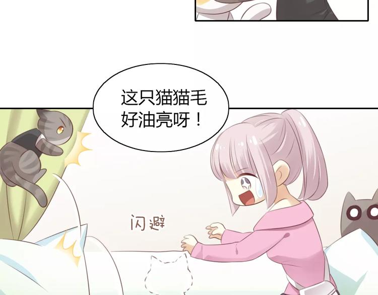 第35话 猫执事（下）12