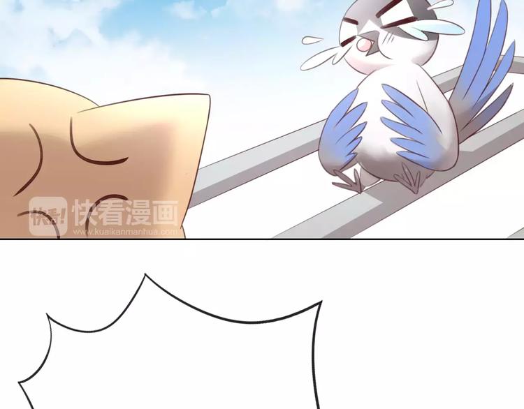 第39话 鸟妈妈的苦心49