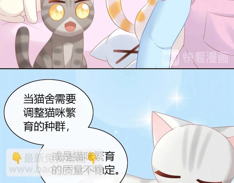 第130话 猫舍C位（六）29