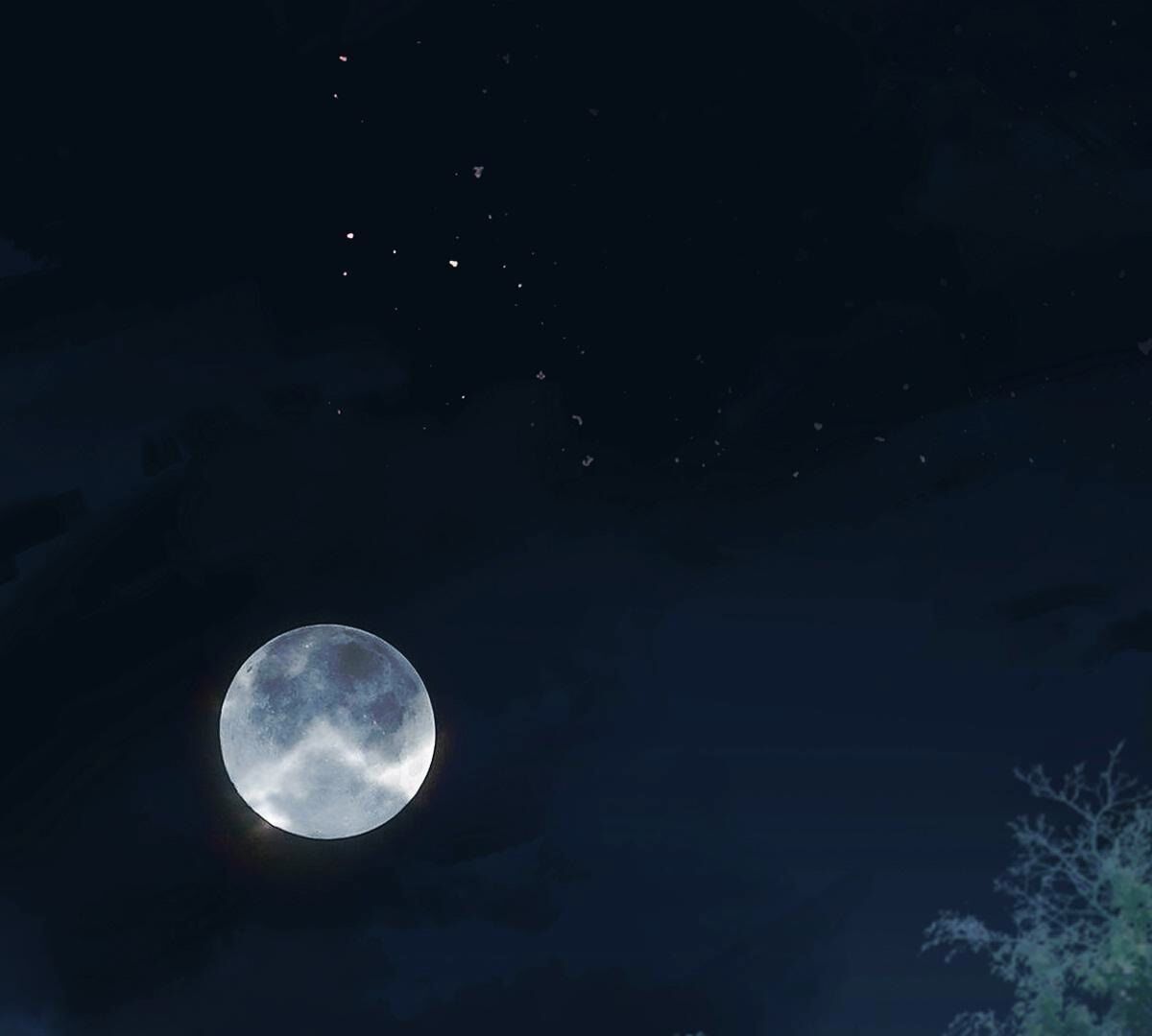 251 第249话 郁菲雪失踪了！39