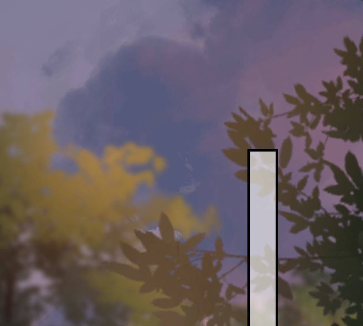 245 第243话 你的鸡，味道不一样42
