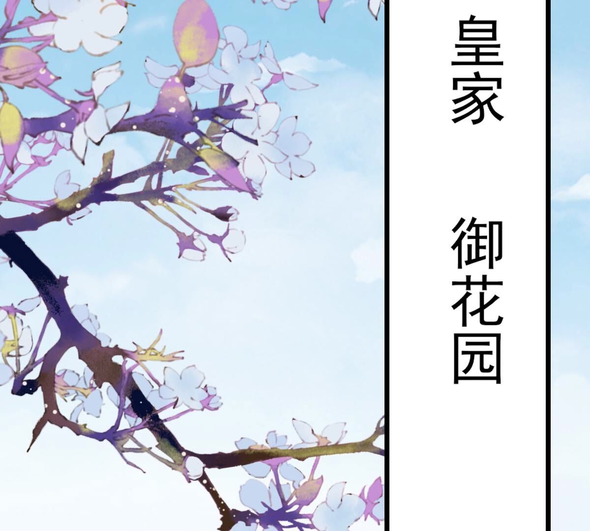 217 第215话  宣告34