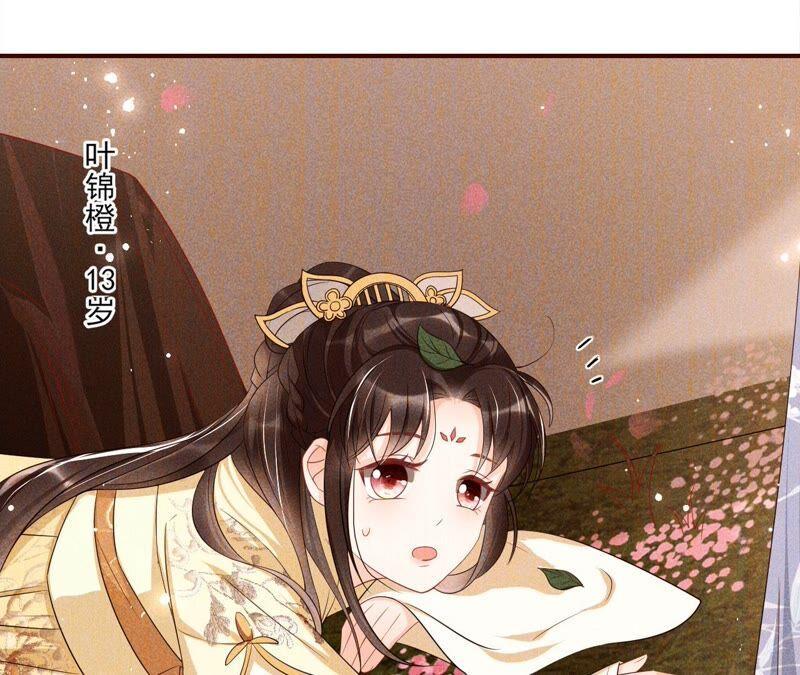公主请自重11