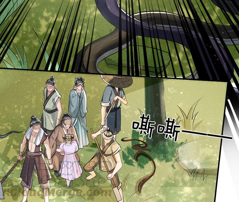 不怕的，我们有蛇仙庇佑45