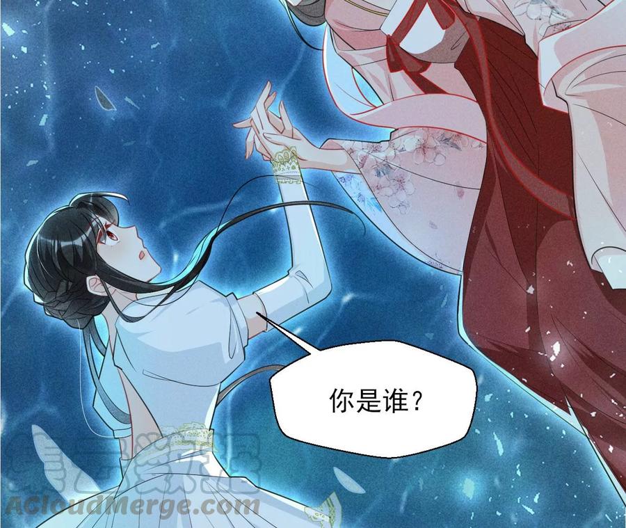 你的身份，我很好奇51