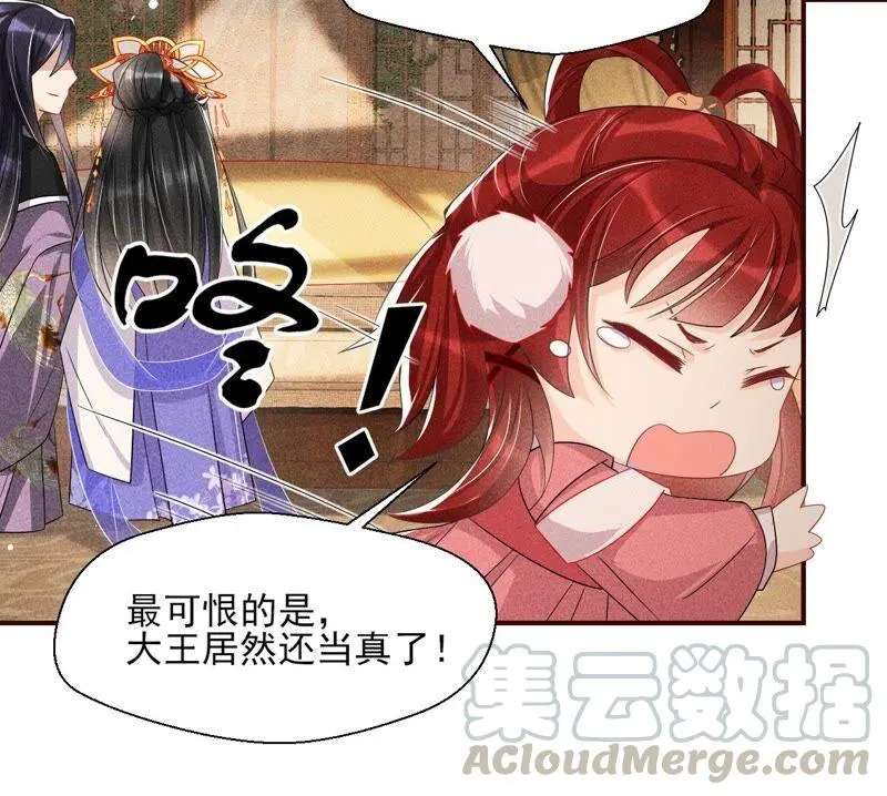 工具人小红24