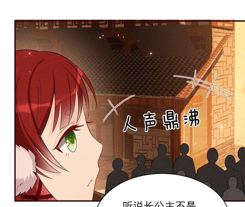 传闻中的痴傻坏公主16