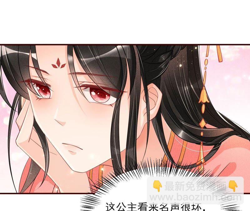 传闻中的痴傻坏公主32