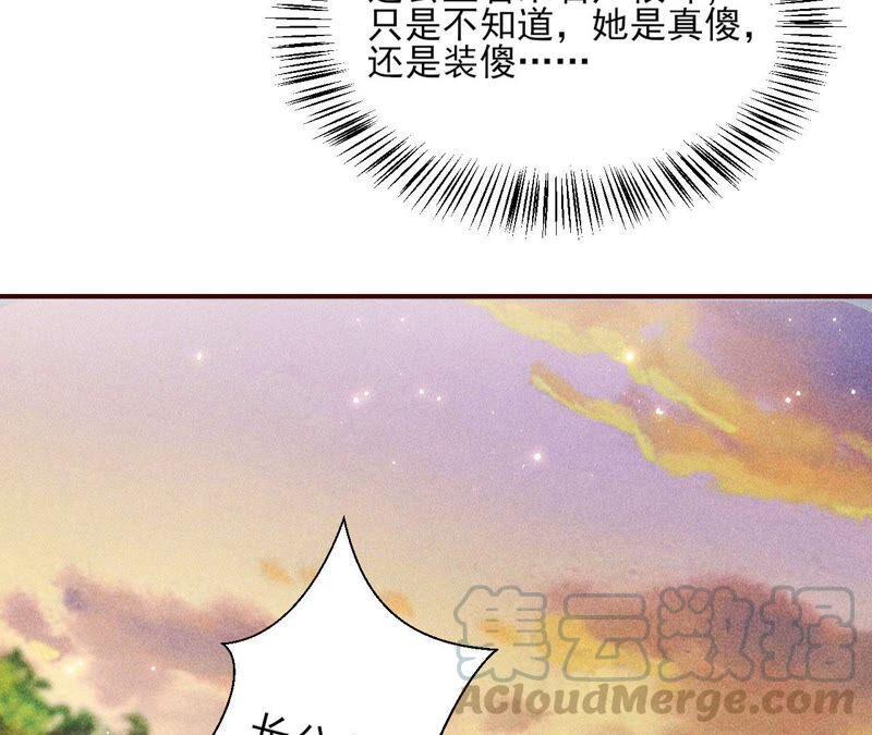 传闻中的痴傻坏公主33