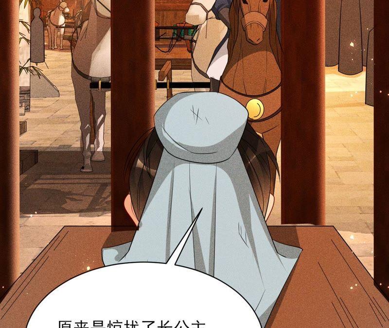传闻中的痴傻坏公主20