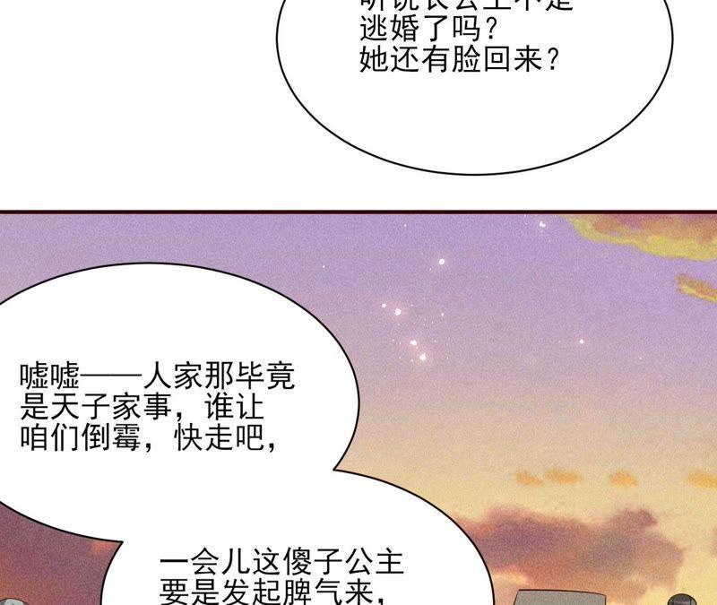 传闻中的痴傻坏公主17