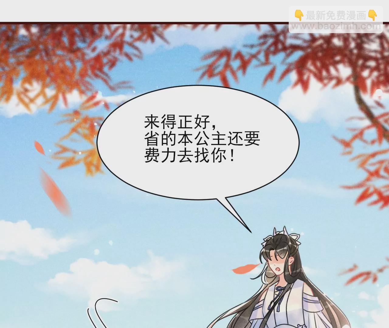 买一赠二大礼包5