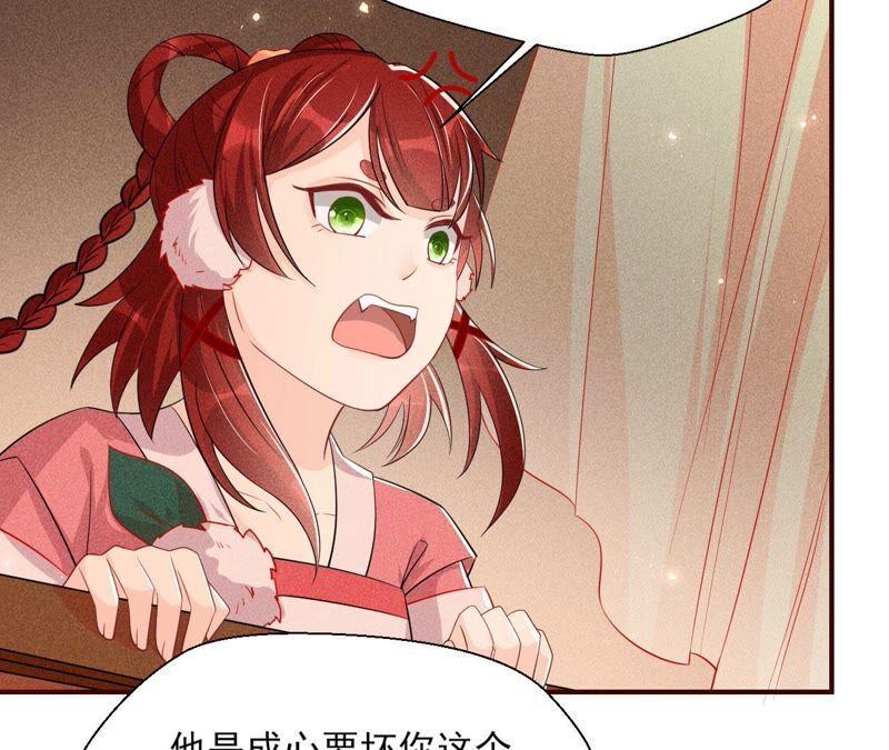 传闻中的痴傻坏公主29
