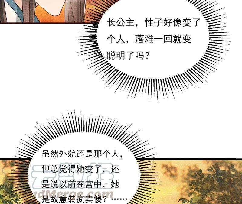 传闻中的痴傻坏公主90