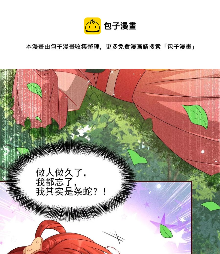 又见面了65