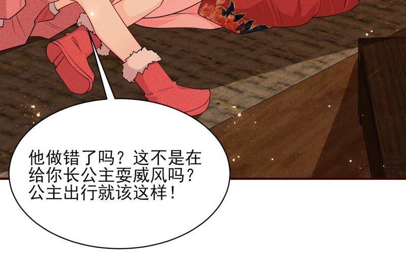 传闻中的痴傻坏公主13