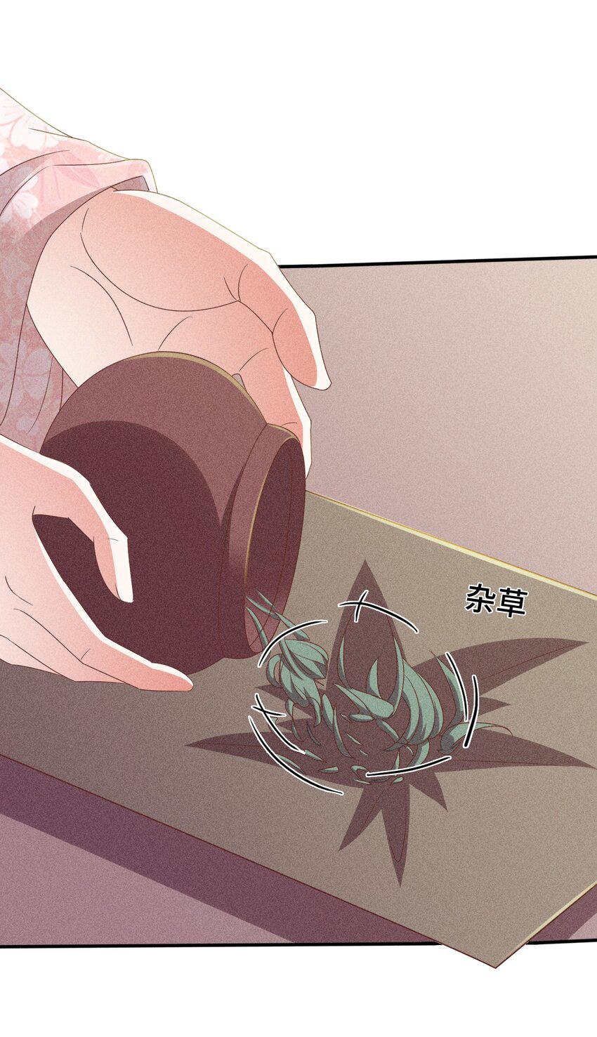 31 与你联手43